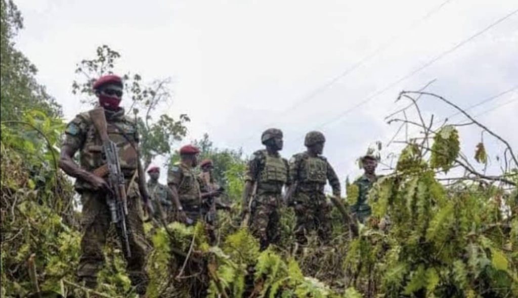 *Ituri : plusieurs éléments du groupe armé CRP capturés et leurs munitions récupérées par les FARDC à Djugu*
