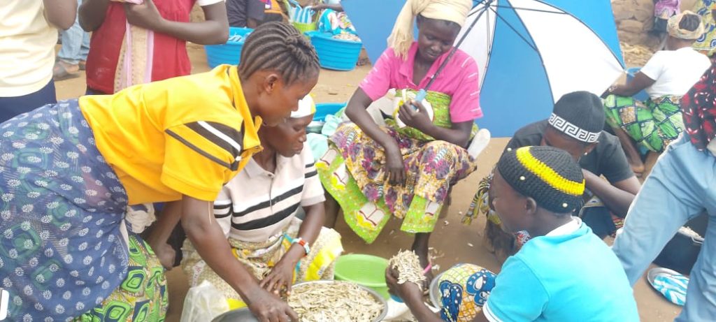 *Ituri : recrudescence du prix de fretin, les acteurs du marché réclament la réouverture de la pêche de ce produit alimentaire au lac Albert*